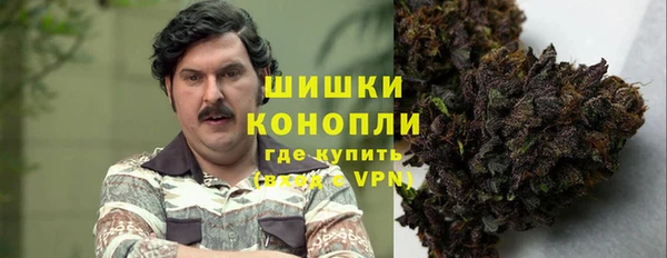 гидропоника Пересвет