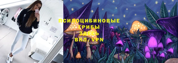 сатива Армянск