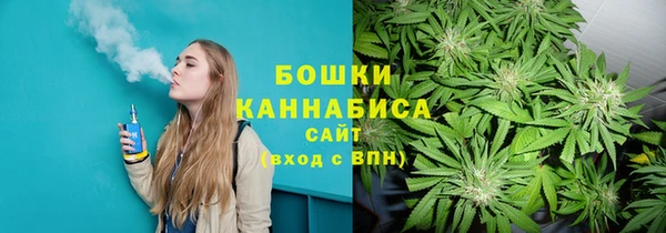 соль ск Алзамай