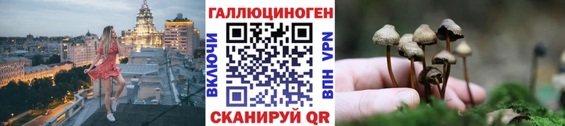 Псилоцибиновые грибы GOLDEN TEACHER  Минусинск 